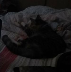 Meet your Posher, Una